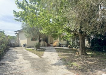 IMG_5388.JPG - Portion of a house Pietrasanta - photo 3