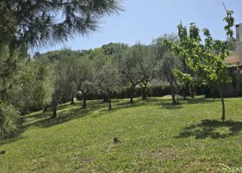 Villa VIA MAMELI, Montesilvano - foto 23