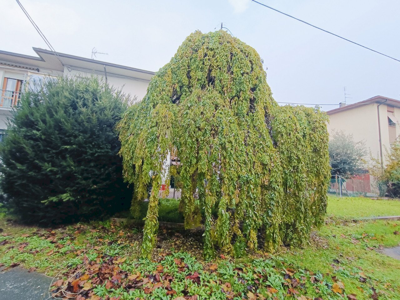 Casa indipendente Forlì - foto 2