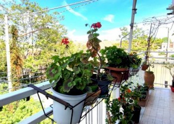 Trilocale Alassio - foto 17