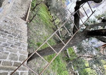 Casa indipendente VIALE MARCHE, Cupramontana - foto 19