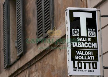 Attività Commerciale Bologna (zona Saragozza) - foto 3