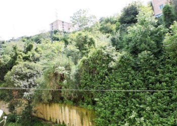 Vista - Three-room apartment via San Bartolomeo del Fossato, 52, Genova (neighborhood Sampierdarena) - photo 15