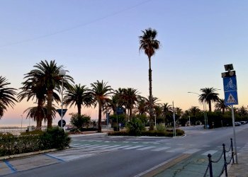 1.jpg - Hotel - Accommodation facility San Benedetto del Tronto - photo 2