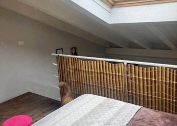 Appartamento Pinerolo - foto 12