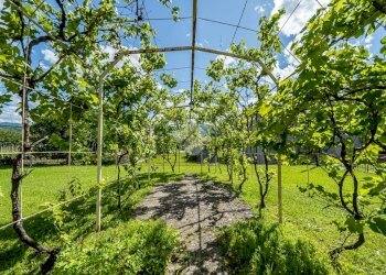Villa Via delle ginestre, Varano de' Melegari - foto 37