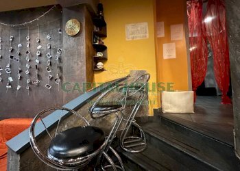 Attività Commerciale Bologna (zona Centro Storico) - foto 11