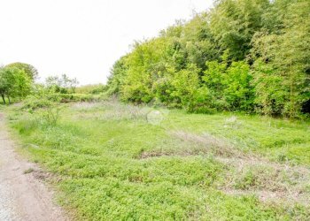 Terreno edificabile Via Po, San Benigno Canavese - foto 3