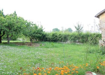 Villetta Cervia - foto 29