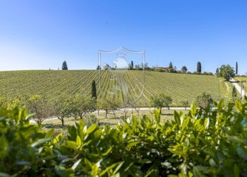 Rustico piazza matteotti, Castellina in Chianti - foto 15