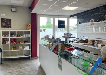 Attività Commerciale stradas statale Goitese, Goito - foto 6