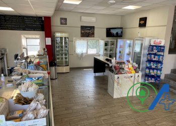 Attività Commerciale stradas statale Goitese, Goito - foto 7