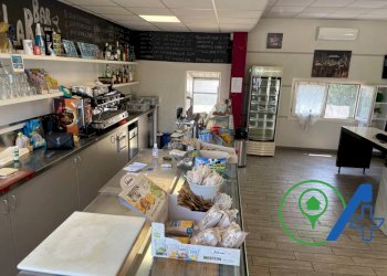 Attività Commerciale stradas statale Goitese, Goito - foto 8