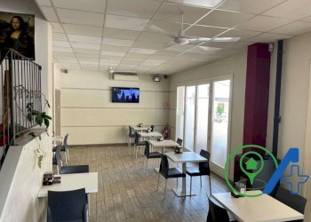 Attività Commerciale stradas statale Goitese, Goito - foto 12