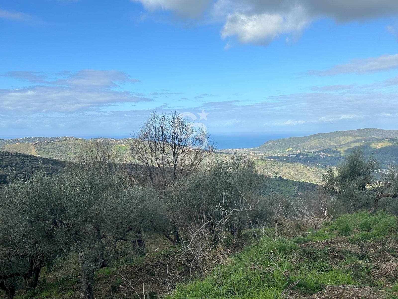 Terreno agricolo via Chiuse, Perdifumo - foto 3