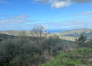 Terreno agricolo via  Chiuse, Perdifumo - foto 3
