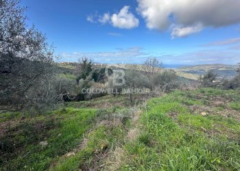 Terreno agricolo via  Chiuse, Perdifumo - foto 4