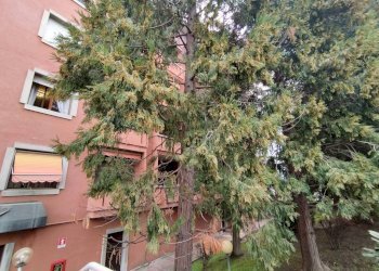 Bilocale via Tommaso Grossi, 2, Rho - foto 41