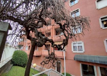 Bilocale via Tommaso Grossi, 2, Rho - foto 43