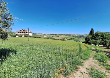 Agricultural land C.da Tosciano, Ripatransone - photo 5