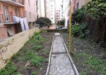 GIARDINO - Bilocale via Valentino Armirotti, 10, Genova (zona Sampierdarena) - foto 13