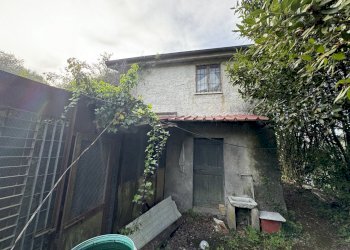 IMG_6631 2.JPG - Agricultural land Follo - photo 1