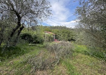 IMG_6634 2.JPG - Agricultural land Follo - photo 2