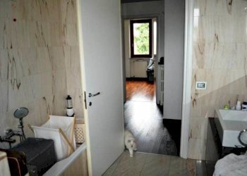 1559002_d_documento_con_foto-67.jpg - Casa indipendente via libertà 4/F, Soave - foto 19