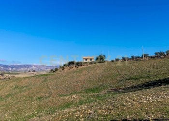 Casa con terreno Catenanuova (4).jpg - Terreno agricolo Strada Provinciale 23b, Centuripe - foto 4