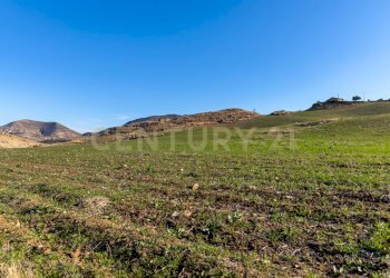 Casa con terreno Catenanuova (5).jpg - Terreno agricolo Strada Provinciale 23b, Centuripe - foto 5