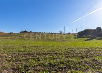 Casa con terreno Catenanuova (6).jpg - Terreno agricolo Strada Provinciale 23b, Centuripe - foto 6