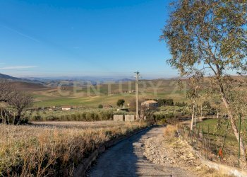 Casa con terreno Catenanuova (7).jpg - Terreno agricolo Strada Provinciale 23b, Centuripe - foto 7