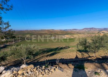 Casa con terreno Catenanuova (9).jpg - Terreno agricolo Strada Provinciale 23b, Centuripe - foto 9