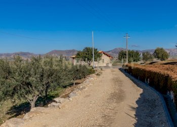Casa con terreno Catenanuova (13).jpg - Terreno agricolo Strada Provinciale 23b, Centuripe - foto 13