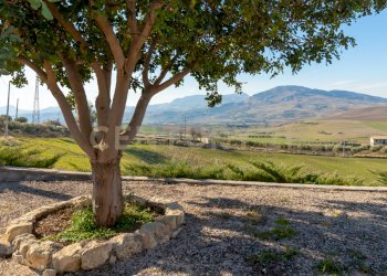 Casa con terreno Catenanuova (14).jpg - Terreno agricolo Strada Provinciale 23b, Centuripe - foto 14