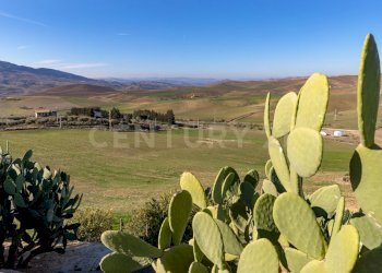 Casa con terreno Catenanuova (19).jpg - Terreno agricolo Strada Provinciale 23b, Centuripe - foto 18
