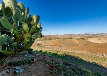 Casa con terreno Catenanuova (23).jpg - Terreno agricolo Strada Provinciale 23b, Centuripe - foto 19