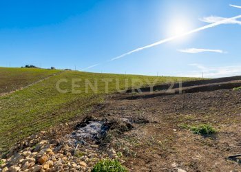 Casa con terreno Catenanuova (24).jpg - Terreno agricolo Strada Provinciale 23b, Centuripe - foto 20