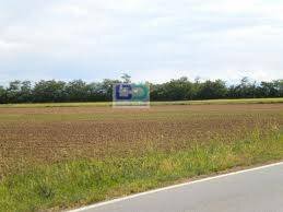 Terreno edificabile Pozzuolo Martesana - foto 3