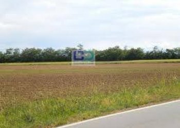 Building land Pozzuolo Martesana - photo 3