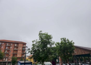 Negozio Fossano - foto 4