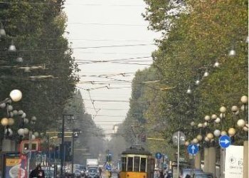 Shop Via Giulio Cesare Procaccini, Milano - photo 1