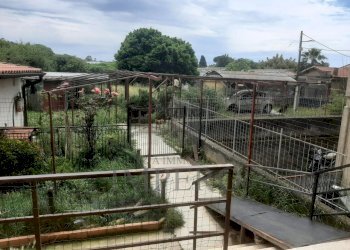 corte - Casa indipendente Via Matteotti, Vallecrosia - foto 1