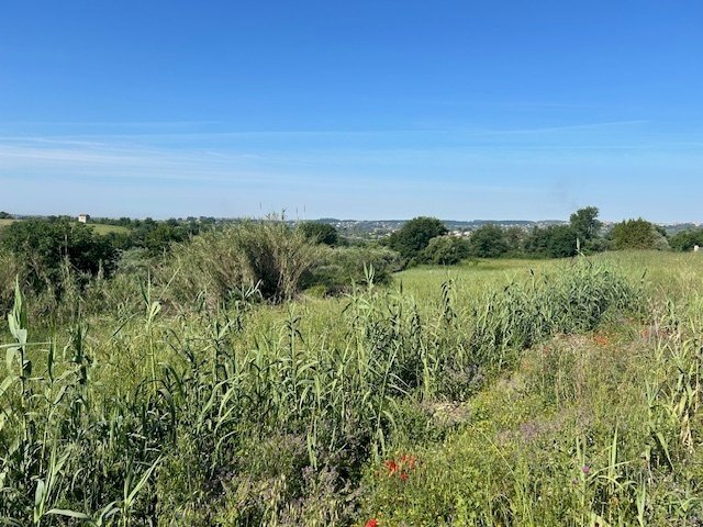 IMG_6548.jpg - Terreno edificabile Via della Pozzera, Sant'Angelo Romano - foto 1