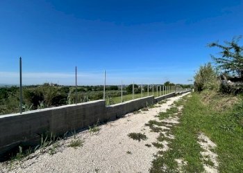 IMG_6551.jpg - Terreno edificabile Via della Pozzera, Sant'Angelo Romano - foto 4