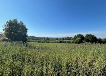 IMG_6552.jpg - Terreno edificabile Via della Pozzera, Sant'Angelo Romano - foto 5