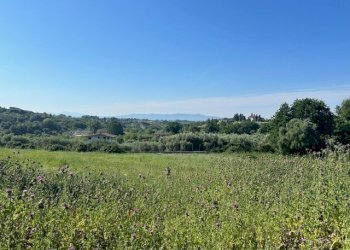 IMG_6553.jpg - Terreno edificabile Via della Pozzera, Sant'Angelo Romano - foto 6