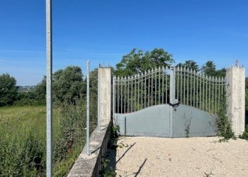 IMG_6554.jpg - Terreno edificabile Via della Pozzera, Sant'Angelo Romano - foto 7