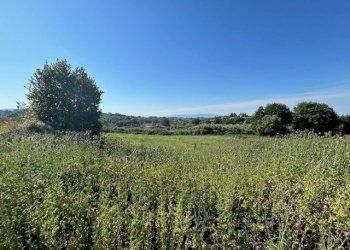IMG_6557.jpg - Terreno edificabile Via della Pozzera, Sant'Angelo Romano - foto 10