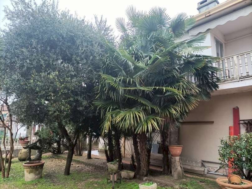 1591963_c_documento_con_foto-2 - Copia.jpg - Apartment via 26 aprile 154, Badia Polesine - photo 3